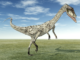 Recent Dinosaur Biomechanical Studies Reveal Their Bipedal “Tail-Wagging”