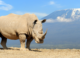 Researchers Have Mapped Out the Rhino Family Tree