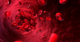 Researchers Reveal That Red Blood Cells Are “Tiny Transmitters” of Electricity