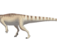 Evidence of “Complex” Dinosaur Herding Found In Mussaurus “Graveyard”