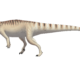Evidence of “Complex” Dinosaur Herding Found In Mussaurus “Graveyard”
