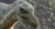 Prehistoric Planet: Feathery (Dino) Raptors
