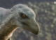 Prehistoric Planet: Feathery (Dino) Raptors