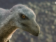 Prehistoric Planet: Feathery (Dino) Raptors