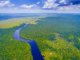 How technology allows us to reveal secrets of Amazonian biodiversity