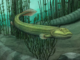 Meet Qikiqtania, a fossil fish with the good sense to stay in the water while others ventured onto land