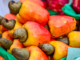 How Nigeria can turn its huge cashew waste into valuable citric acid