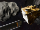 NASA crashed a spacecraft into an asteroid – photos show the last moments of the successful DART mission