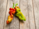 Why some like it hot: The science of spiciness