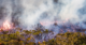 The ‘good fire’: Prescribed burning can prevent catastrophic wildfires in the future