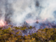 The ‘good fire’: Prescribed burning can prevent catastrophic wildfires in the future