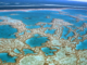 Is the Great Barrier Reef reviving – or dying? Here’s what’s happening beyond the headlines