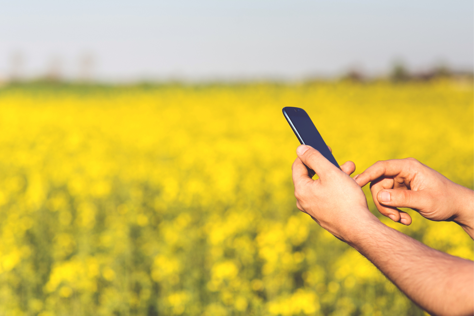 Smartphone Technology and Crop Pest Surveillance: A Review Smartphone Technology and Crop Pest Surveillance: A Review