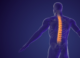 How long does back pain last? And how can learning about pain increase the chance of recovery?