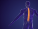 How long does back pain last? And how can learning about pain increase the chance of recovery?