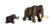 Woolly Mammoths Were Led to Extinction by Rapid Climate Change