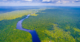 How technology allows us to reveal secrets of Amazonian biodiversity