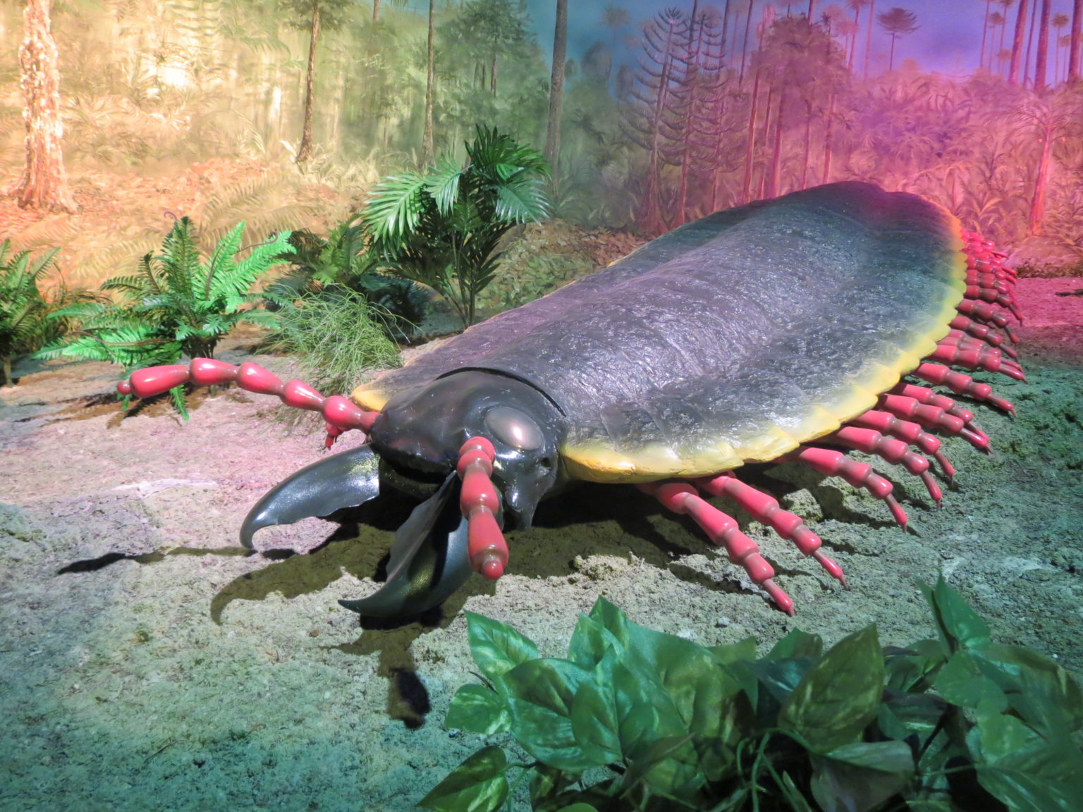 Arthropleura The Biggest Millipede Ever (So Far) Modern Sciences