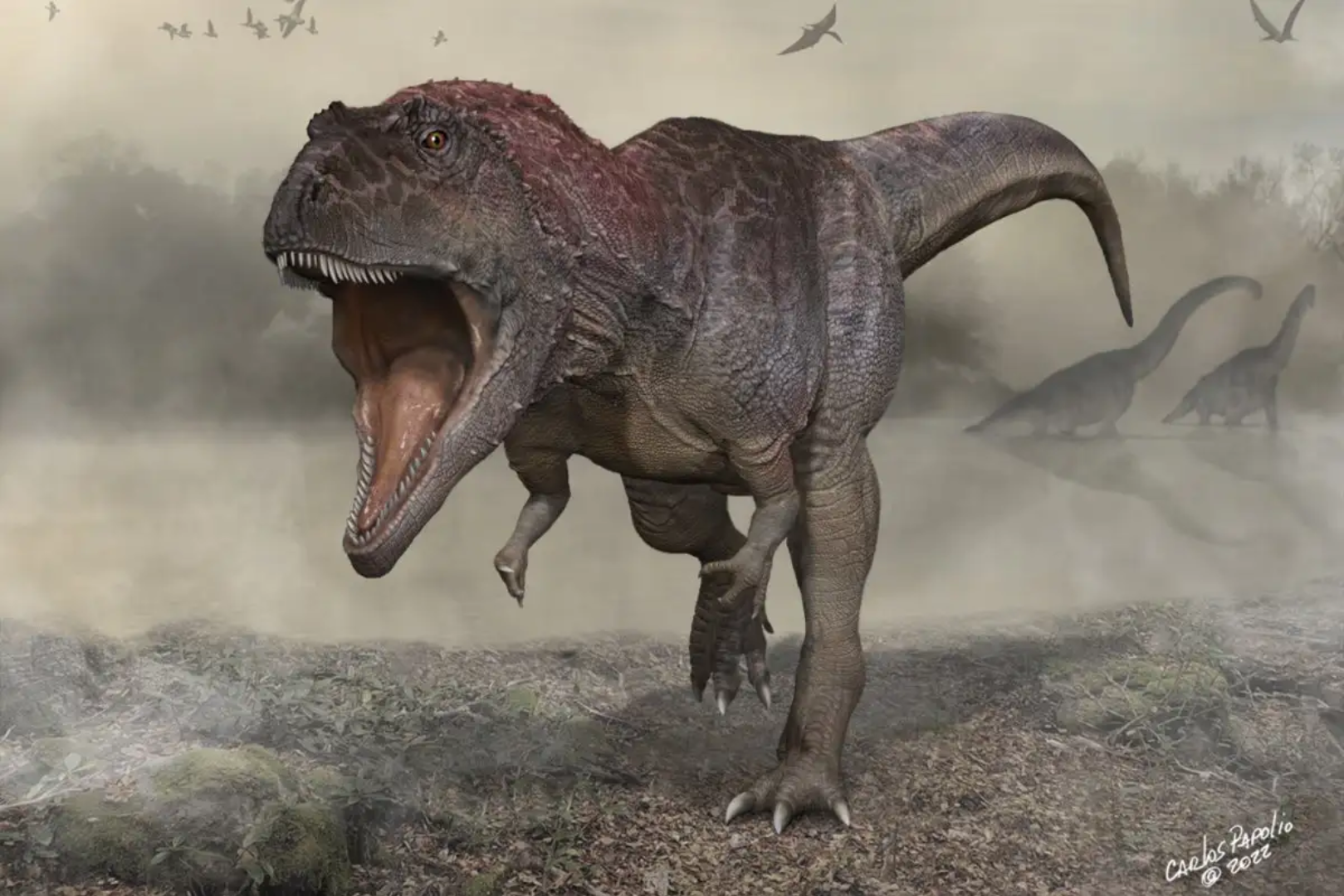 Big head, small arms: A newly discovered gigantic dinosaur evolved