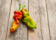 Why some like it hot: The science of spiciness