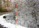 How is snowfall measured? A meteorologist explains how volunteers tally up winter storms