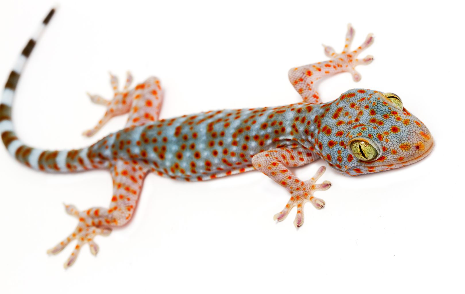 We’re Redefining What It Means to be “Sticky”—And We’re Taking Lessons ...