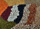 Pulses are packed with goodness: Five cool things you should know about them