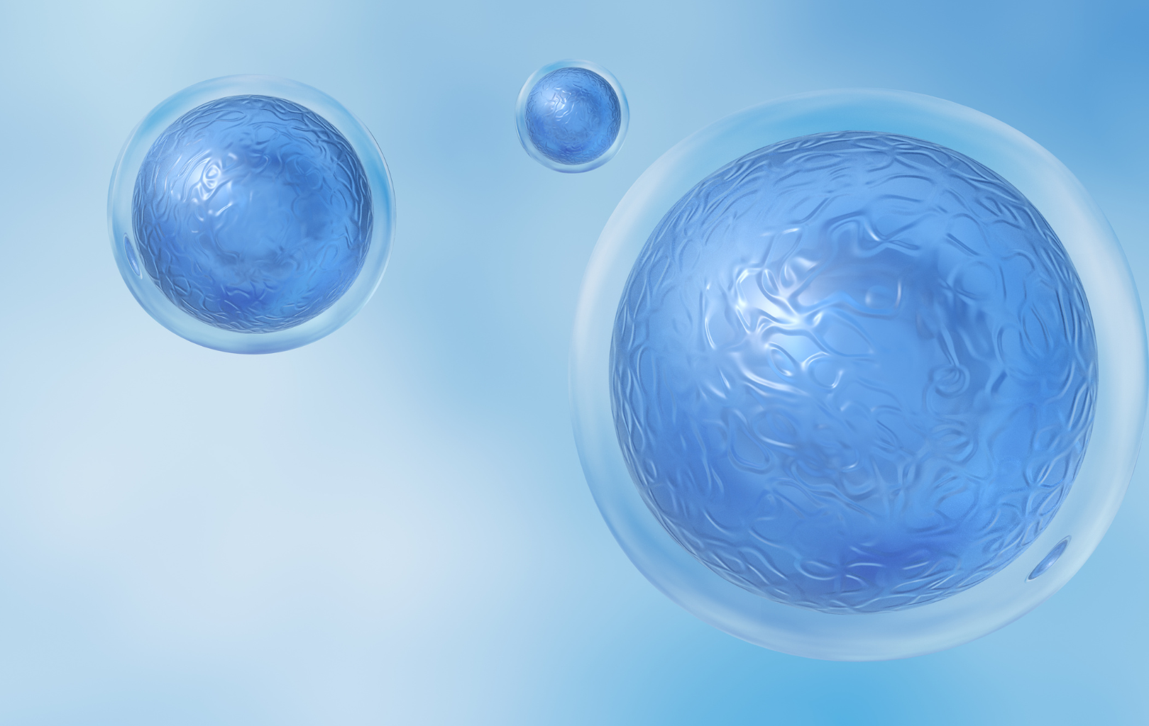 Scientists Have Created Embryo Models From Stem Cells It Could Help