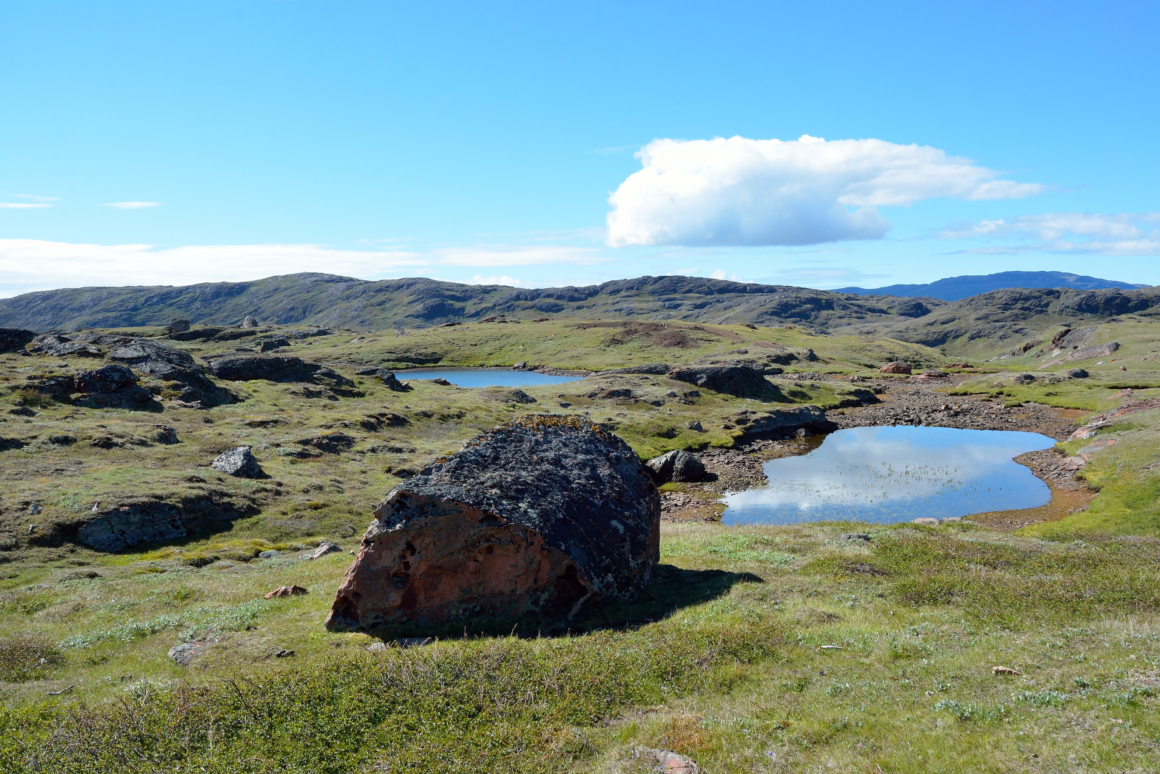 When Greenland was green Ancient soil from beneath a mile of ice