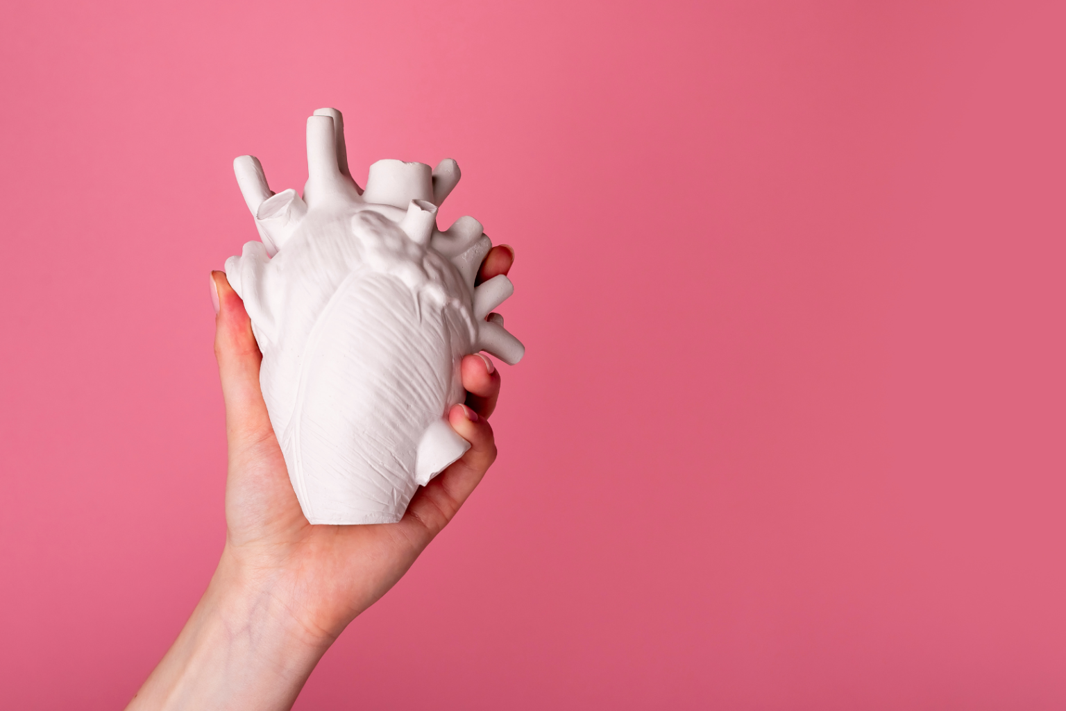 Labgrown ‘ghost hearts’ work to solve organ transplant shortage by