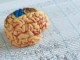 Setting the stage for a better understanding of complex brain disorders