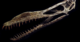 What’s Up With That Pterosaur’s Teeth?