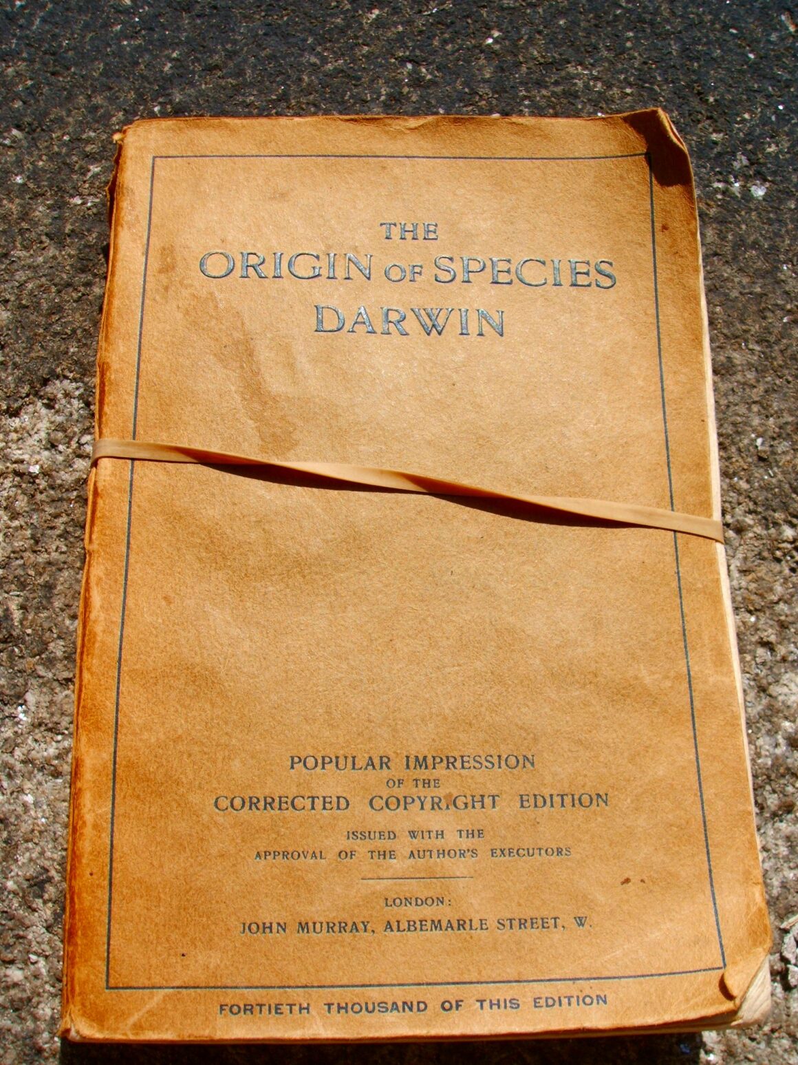 Bridging the Gap A Look at Transitional Fossils Modern Sciences