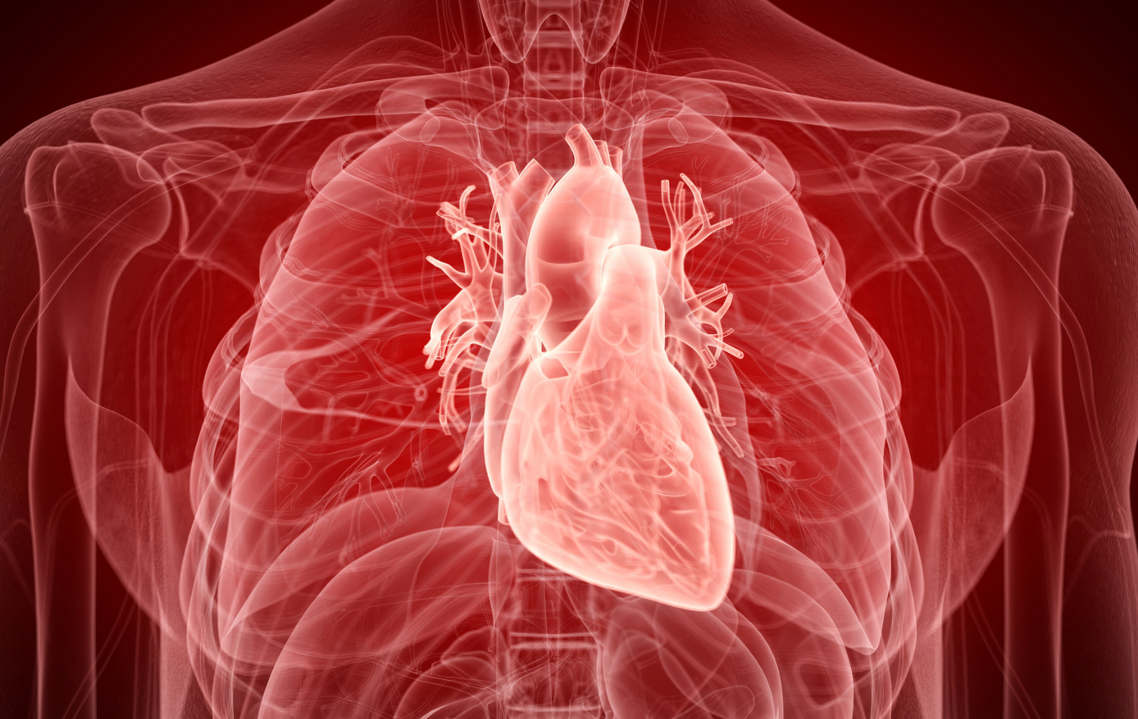 new-study-shows-restoration-of-heart-function-in-genetic-heart-disease