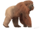 Ancient Giant Ape’s Extinction Unraveled by Multidisciplinary Study