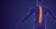 How long does back pain last? And how can learning about pain increase the chance of recovery?