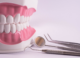 Healthy teeth are wondrous and priceless – a dentist explains why and how best to protect them