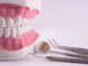 Healthy teeth are wondrous and priceless – a dentist explains why and how best to protect them